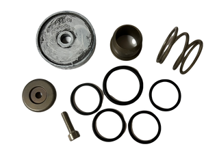AR North America / Hypro Regulator Repair Kit (GS50GI) - 43834