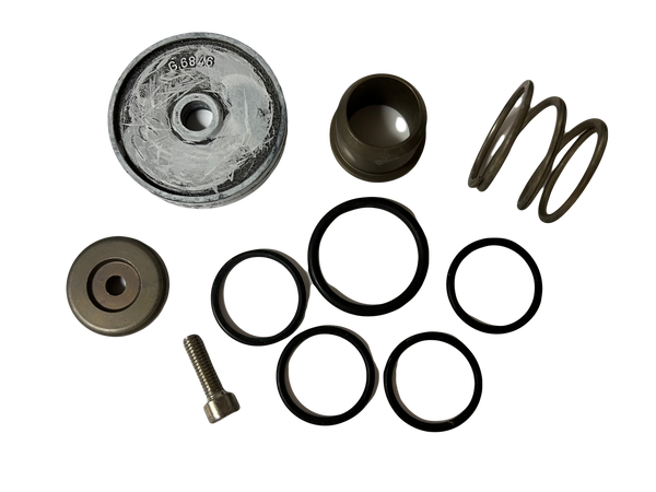 AR North America / Hypro Regulator Repair Kit (GS50GI) - 43834