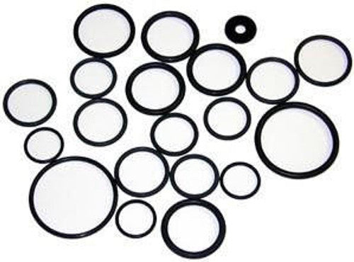 AR North America / Hypro O-Ring Kit - 1916