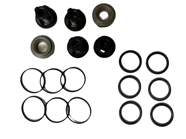 AR North America / Hypro D503 Valve Kit - 1987