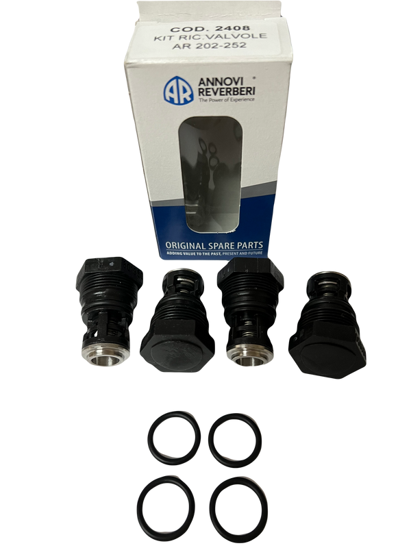 AR North America / Hypro - D252 Valve Kit - 2408