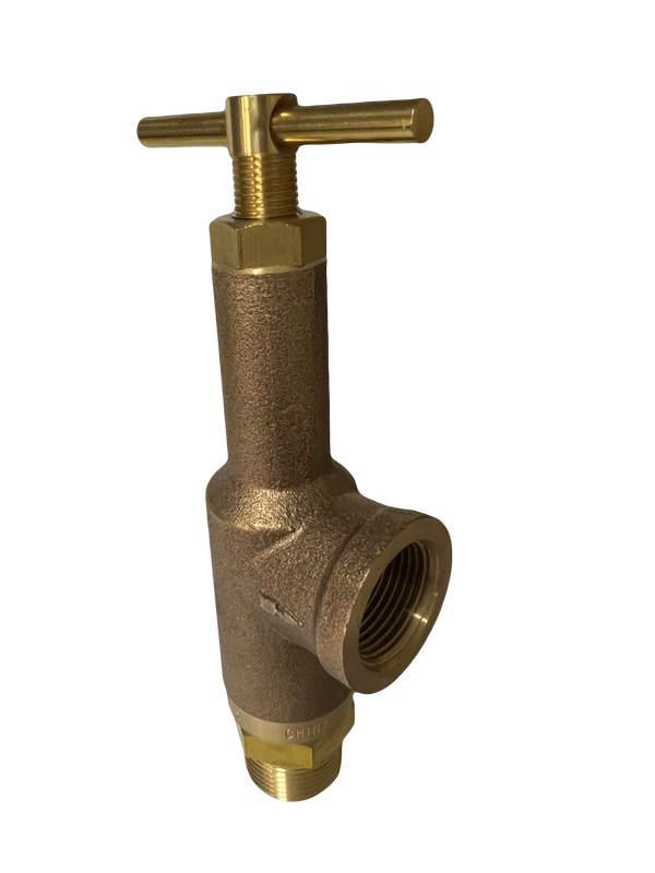 TeeJet Relief Valve 1" Brass - AA110-1