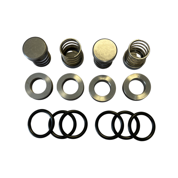 John Bean R10/R20 Valve Kit (5-251-825)