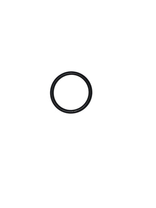 AR North America / Hypro - O-Ring - 230060