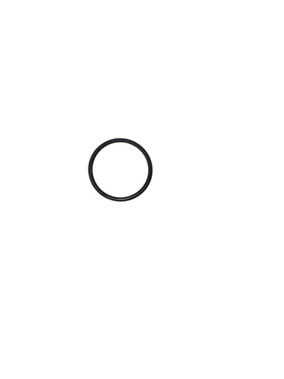 AR North America / Hypro - O-Ring - 250310