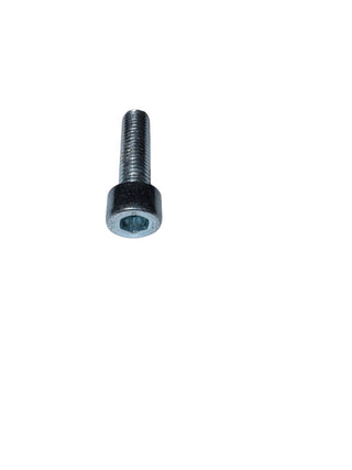 Comet Screw (M8X30) - 3609.0006.00