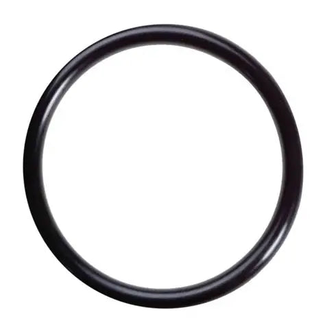 AR North America / Hypro - O-Ring - 550040