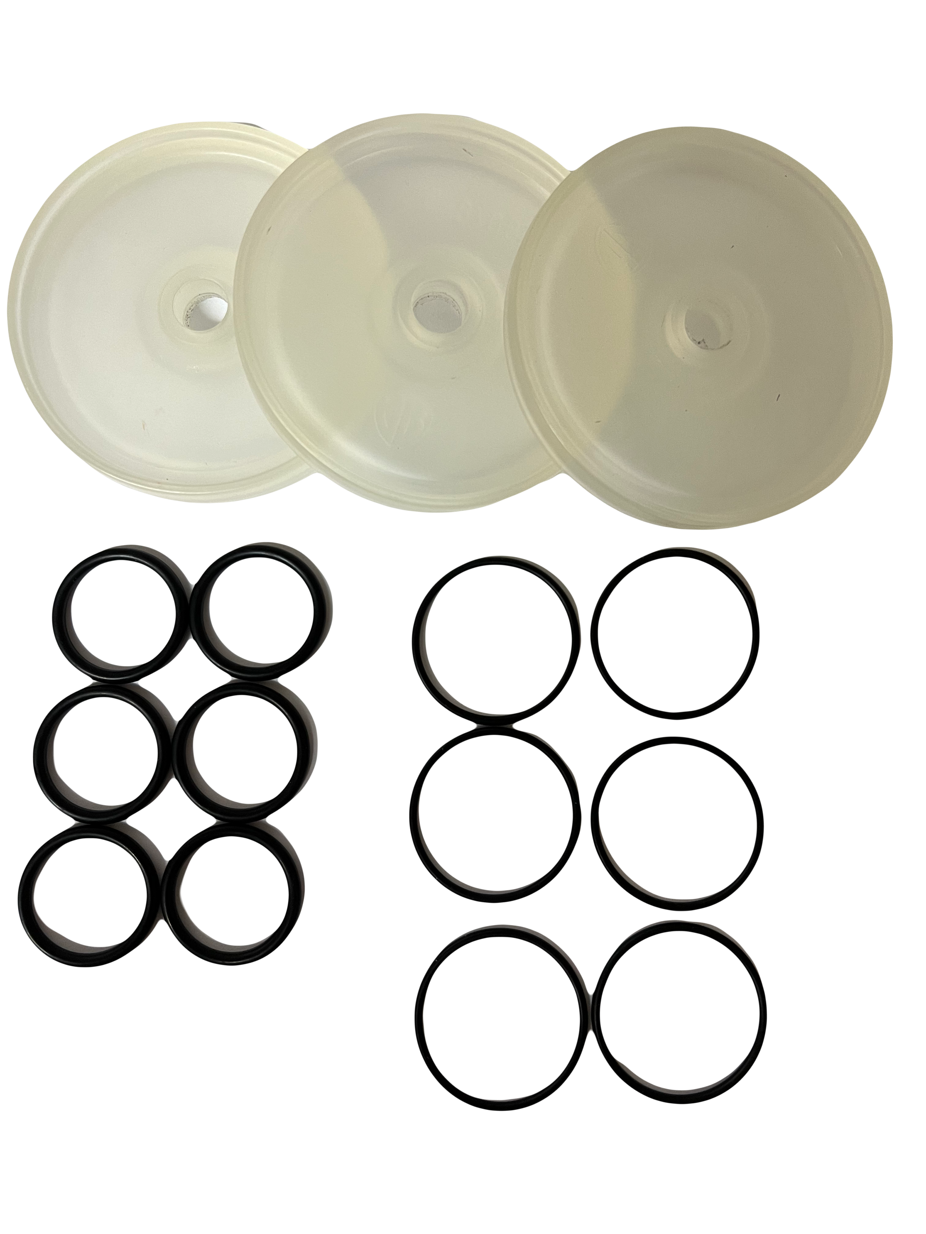 AR North America / Hypro -AR303/AR403 Diaphragm Kit - 43287 | Florida ...