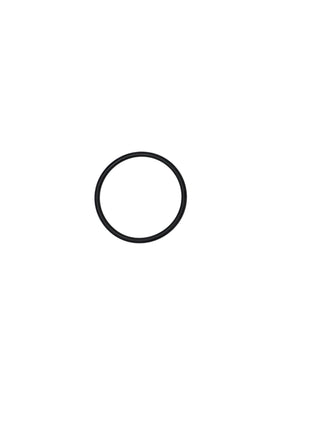 AR North America / Hypro - O-Ring - 620210